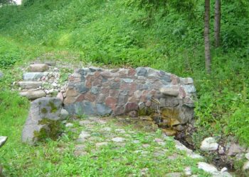 Aniulio šaltinis | lgt.lrv.lt nuotr.