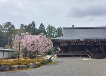 S. Burneikaitė. Mintys, grįžus iš Tekančios saulės šalies | Autorės nuotr.