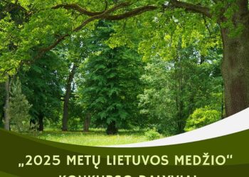 Vasaros kelionė po Lietuvą: kviečiame aplankyti Medžių varžytuvių dalyvius | Rengėjų nuotr.