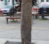 Pysio (Pisz) stabas