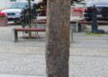 Pysio (Pisz) stabas