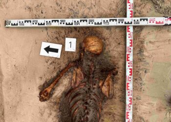 Rasti 6 partizanų palaikai Jūžintuose