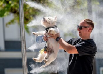 Vandens dulksnų stotelė