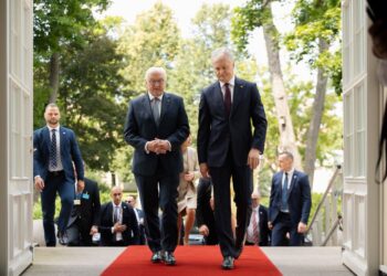 Frankas-Valteris Šteinmejeris ir Gitanas Nausėda