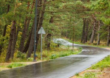 Pėsčiųjų ir dviračių takas