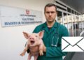 Nebereikalingas veterinarijos gydytojas (snukio ir veido sutapimas gali būti atsitiktinis)