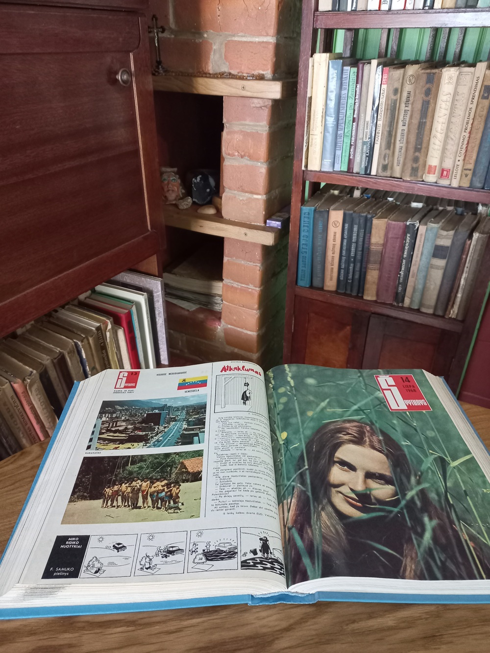 Atidaryta retro biblioteka Ukmergės rajone fotomenininko sodyboje
