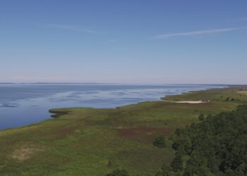 Apklausa: kokią nematerialią naudą žmonėms teikia Kuršių marios?