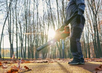 Kodėl verta turėti lapų pūstuvą