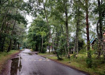 E. A. Jonušo gatvė