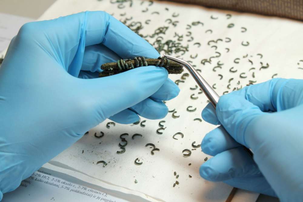  Dėmesys archeologiniams radiniams 