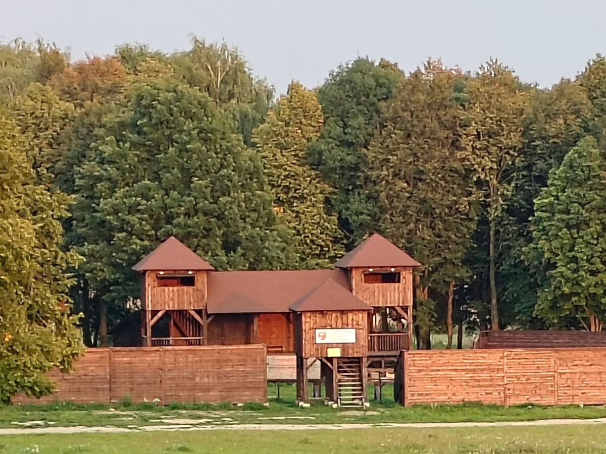 S. Birgelis. Žalgirio mūšio lauke 