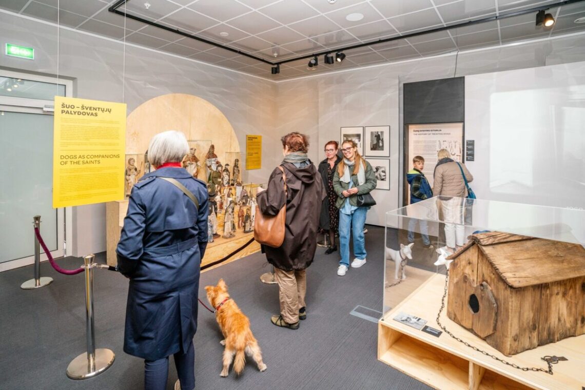 Ką atskleidė lankytojų užrašytos baimės parodoje „Istorija vizgina uodegą“?