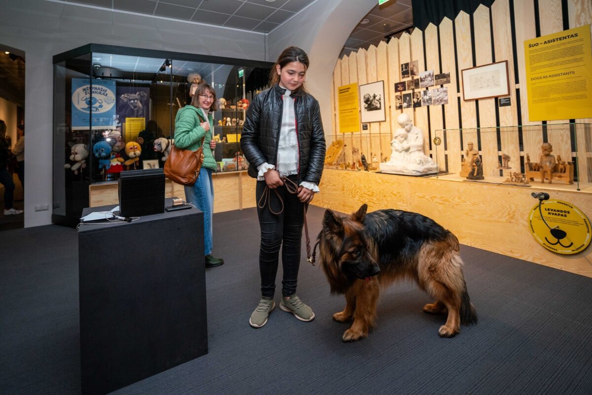 Ką atskleidė lankytojų užrašytos baimės parodoje „Istorija vizgina uodegą“? 