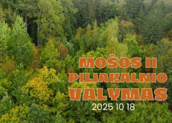 Mošos II-ojo piliakalnio valymas