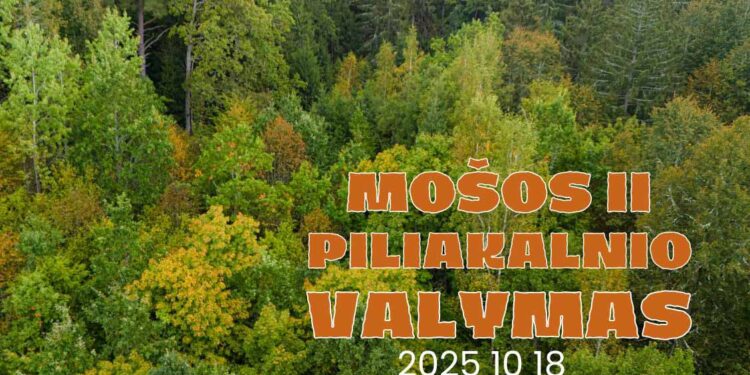 Mošos II-ojo piliakalnio valymas