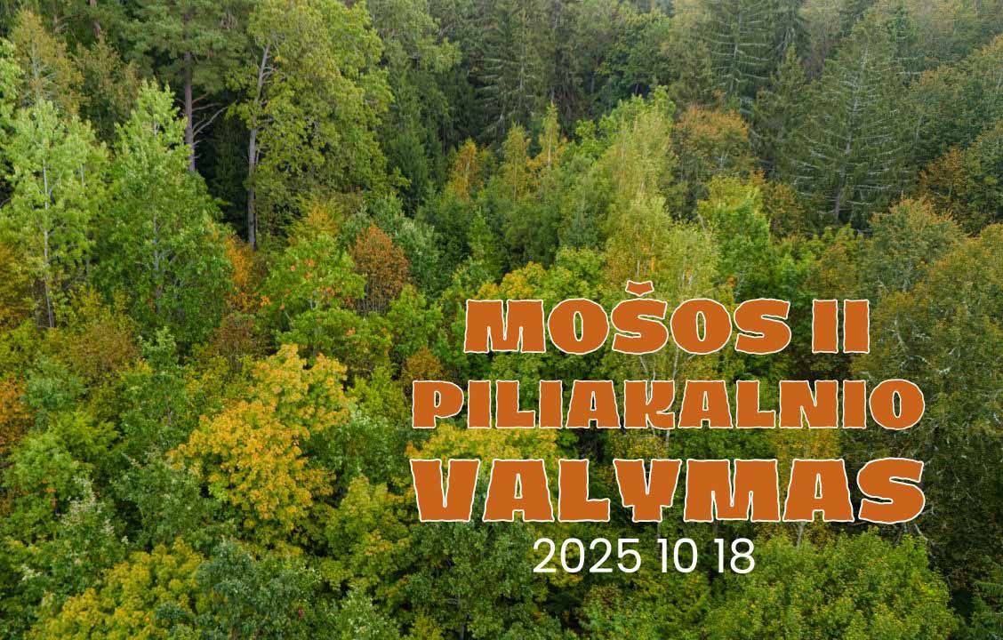Mošos II-ojo piliakalnio valymas