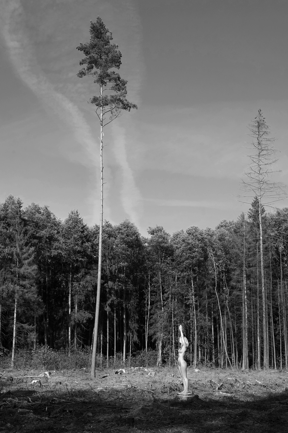 Kviečia Sauliaus Saladūno fotografijų paroda „Medeina“