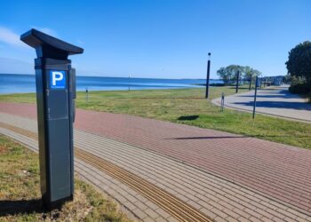 Automobilių statymas