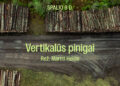 Dokumentinis filmas „Vertikalūs pinigai“