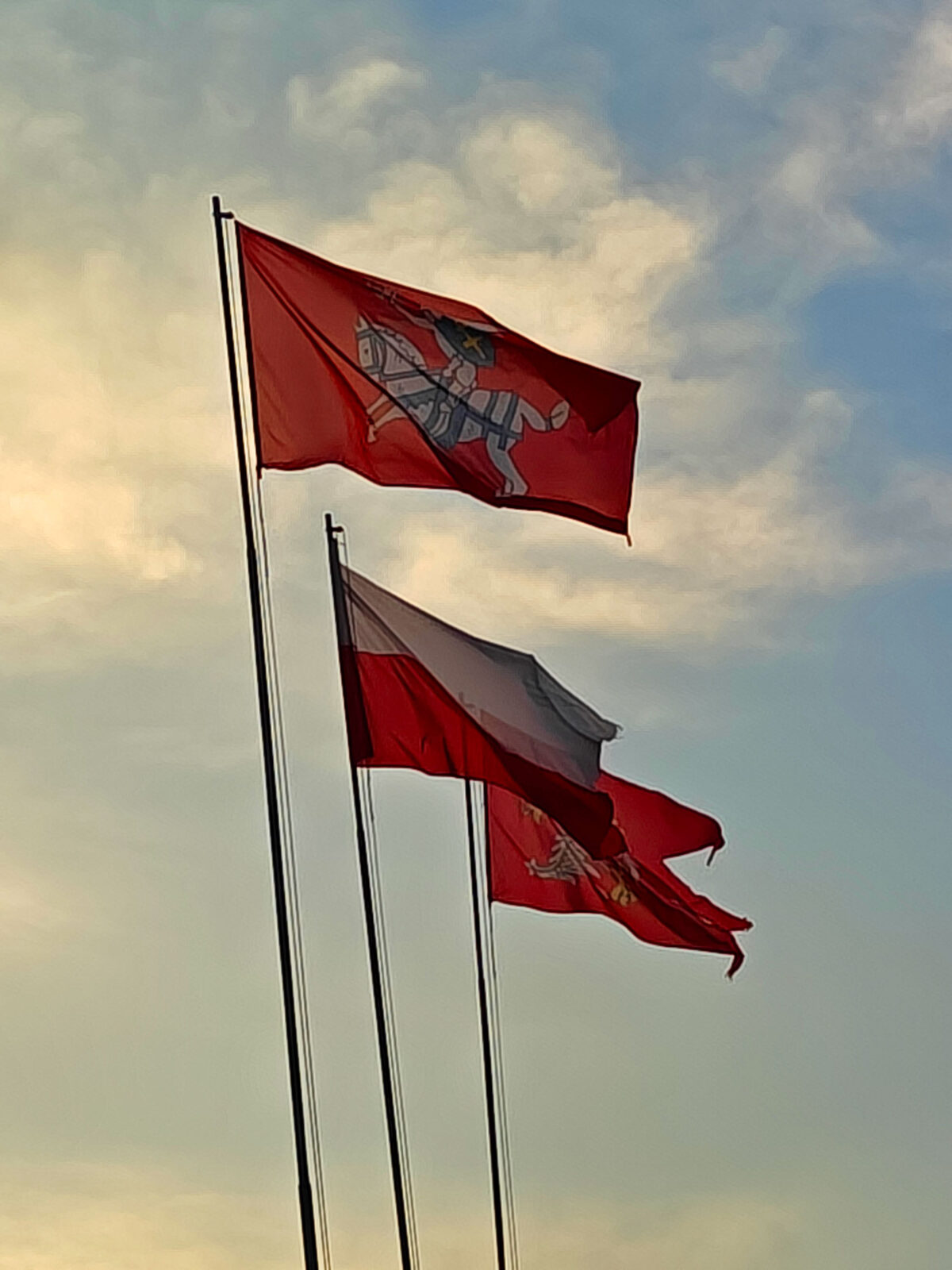 S. Birgelis. Žalgirio mūšio lauke