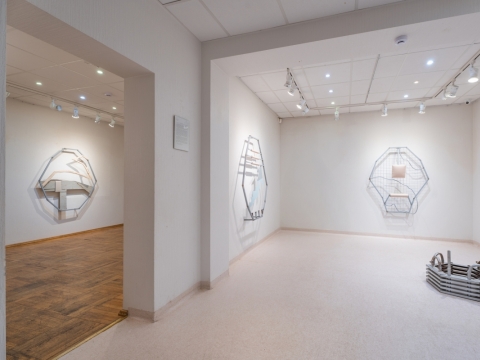 Dainiaus Trumpio parodos „Oda ir dulkės“ fragmentas. 2025 m. 