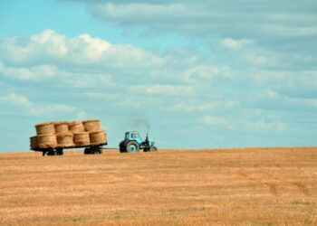 Ūkininkauti renkasi vis daugiau jaunų žmonių