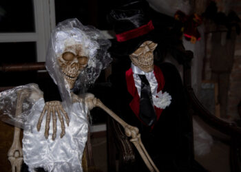 Bistrampolio dvaro pramogos