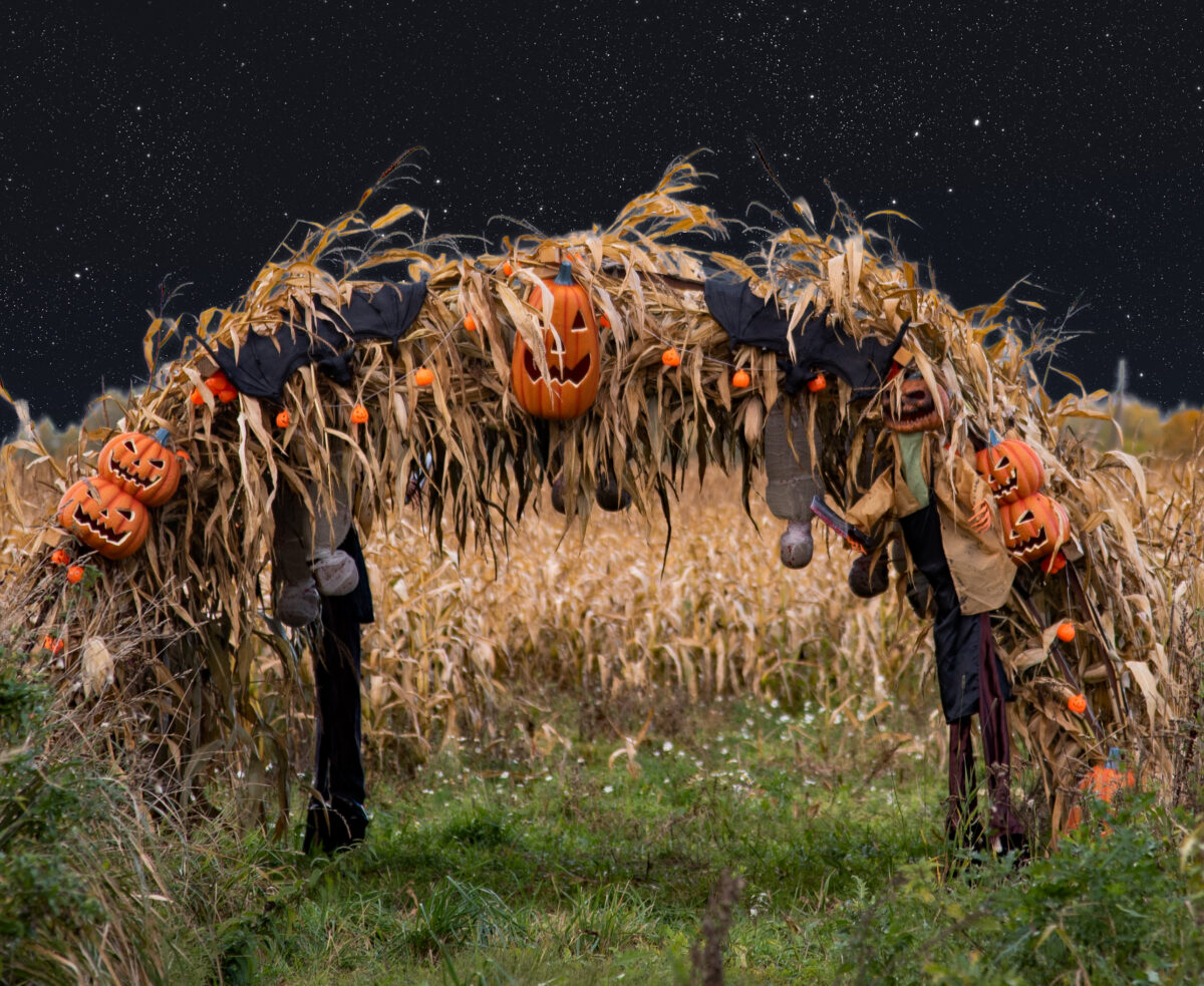 Bistrampolio dvaro pramogos 