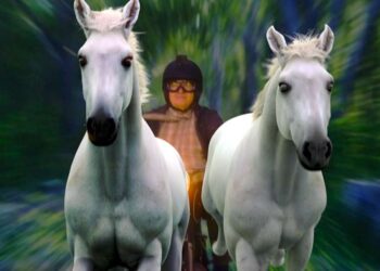 Laida „Gamtoje nėra pasakų“