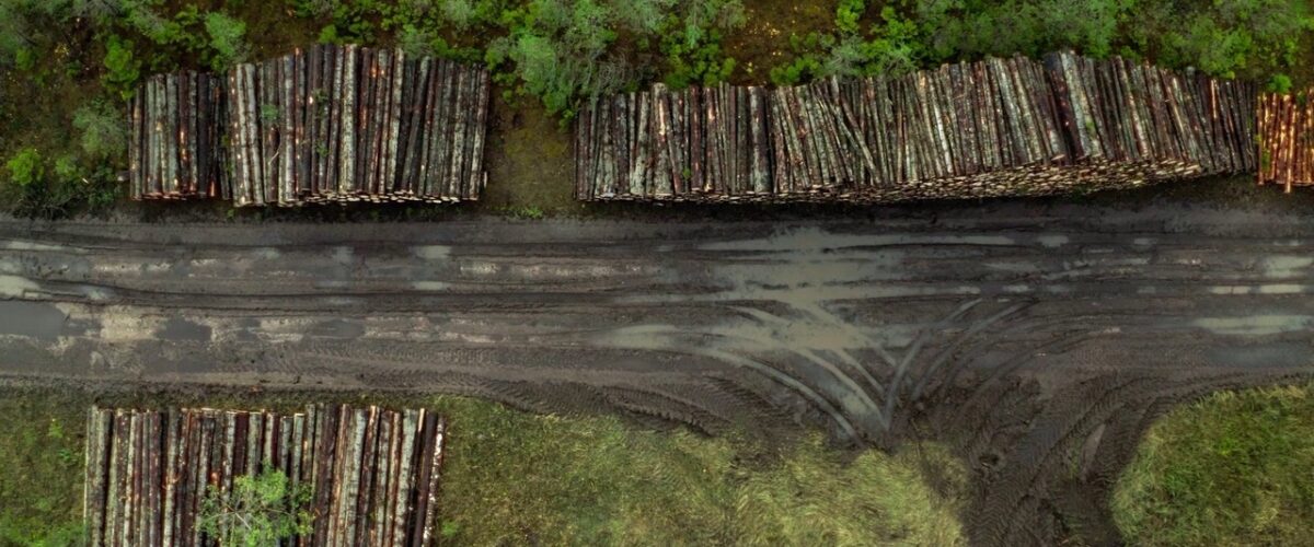 Kadras iš filmo „Vertikalūs pinigai“ 