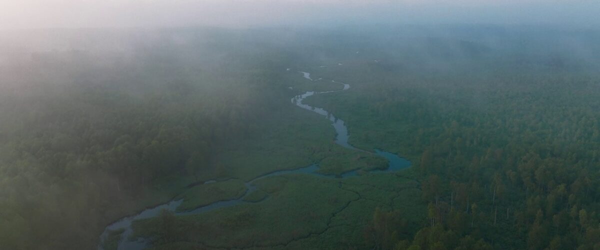 Kadras iš filmo „Vertikalūs pinigai“ 