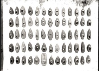 D. Savickaitė. Krašto proistorės liudytojas kun. Juozapas Žiogas