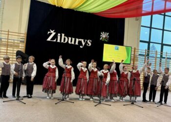 Seinų Žiburio mokykla