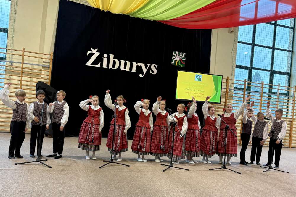 Seinų Žiburio mokykla