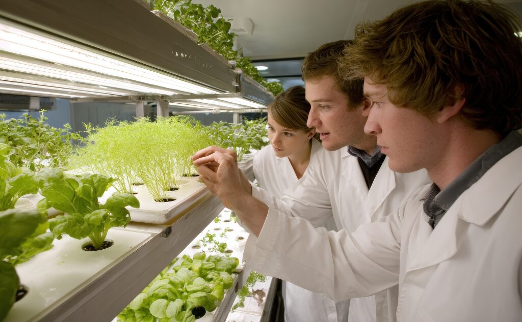 Gausus šimtukininkų būrys pasirinko ateičiai reikalingų studijų lauką