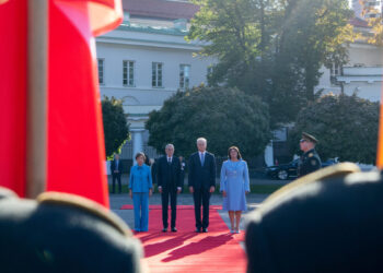 Prezidentas susitinka su Austrijos Prezidentu Aleksandru Van der Belenu