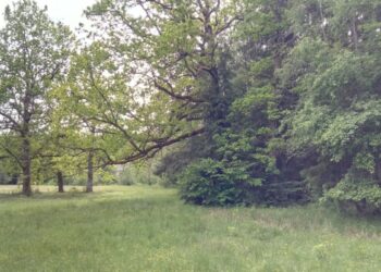 Pablogėjusi buveinių apsaugos būklė