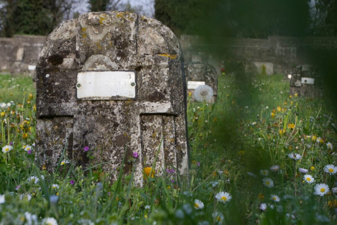 Aplinkos ministerija: ką svarbu žinoti apie neprižiūrimas kapavietes