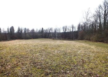 Astikų buvusio dvaro vieta Alantoje, Virintos upės vingyje