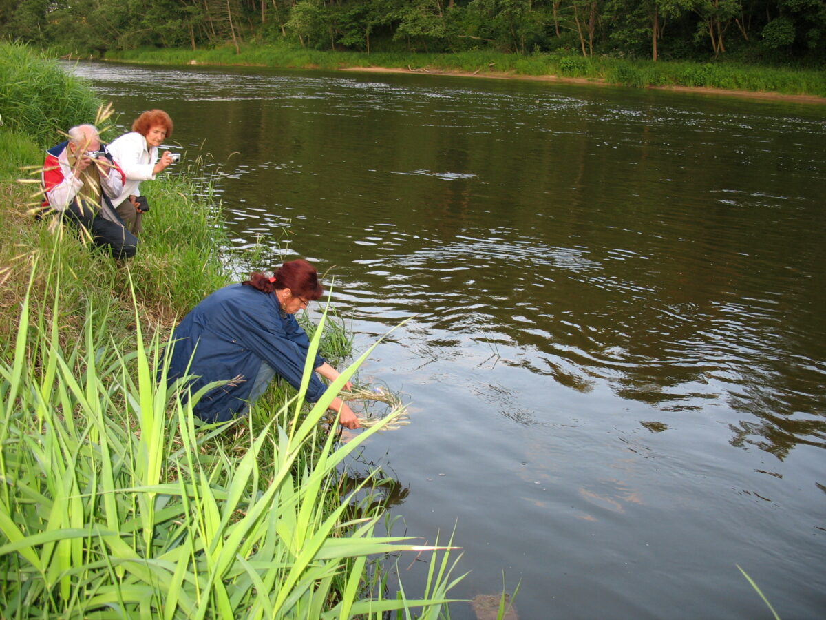 Ekspedicija Nerimi 2007 