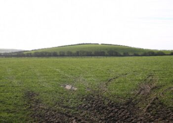 Drumlinų laukai Šiaurės Lietuvoje