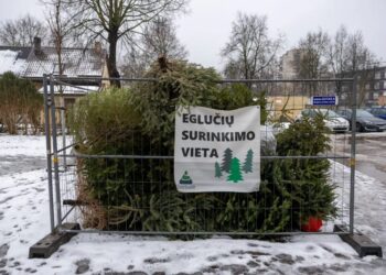 Eglučių surinkimo vieta