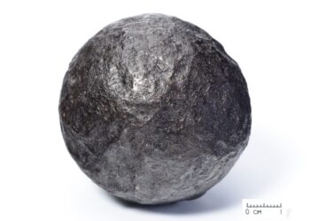 Konservavo Andrius Salys, rest. prot. Nr. 386/22641