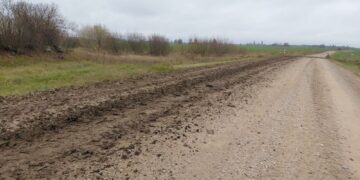 Neasfaltuotas kelias