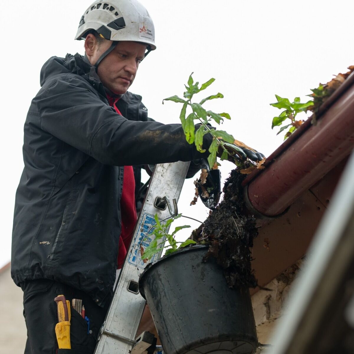 Lietvamzdžių diena 