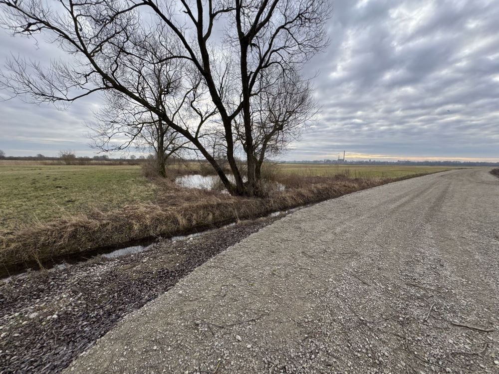 Kelias Pagėgiai–Plaušvariai