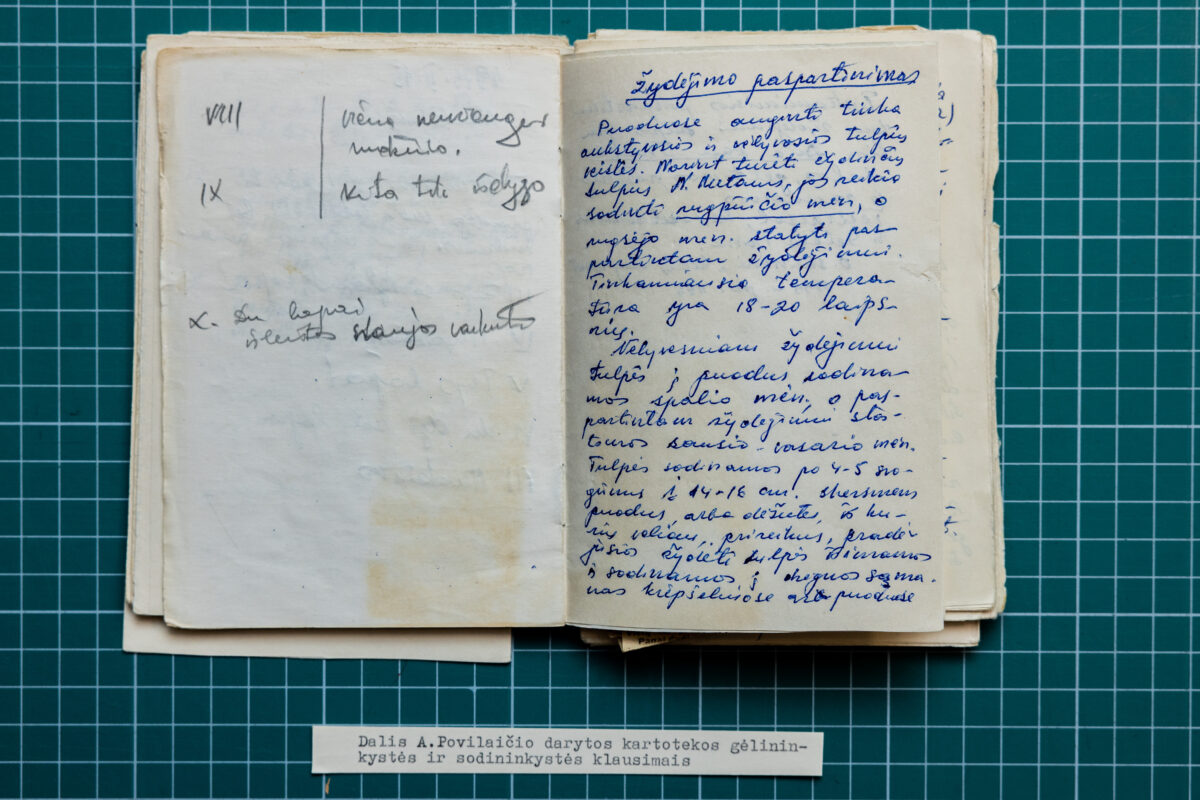 Apolinaro Juozo Povilaičio užrašai apie gėlininkystę ir sodininkystę 