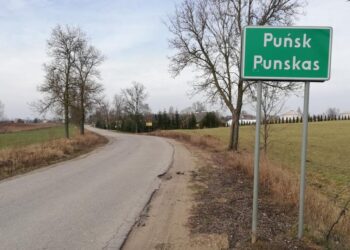 S. Birgelis. Vengtini žodžiai mūsų kalboje