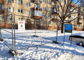 Eglučių surinkimas